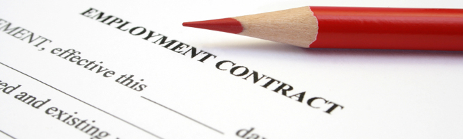 employment-law-activities